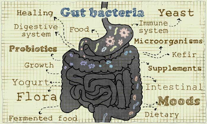 Gut workings