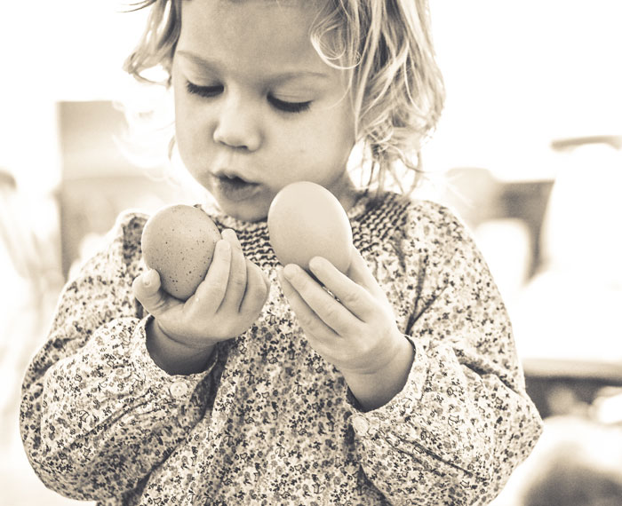 River eggs