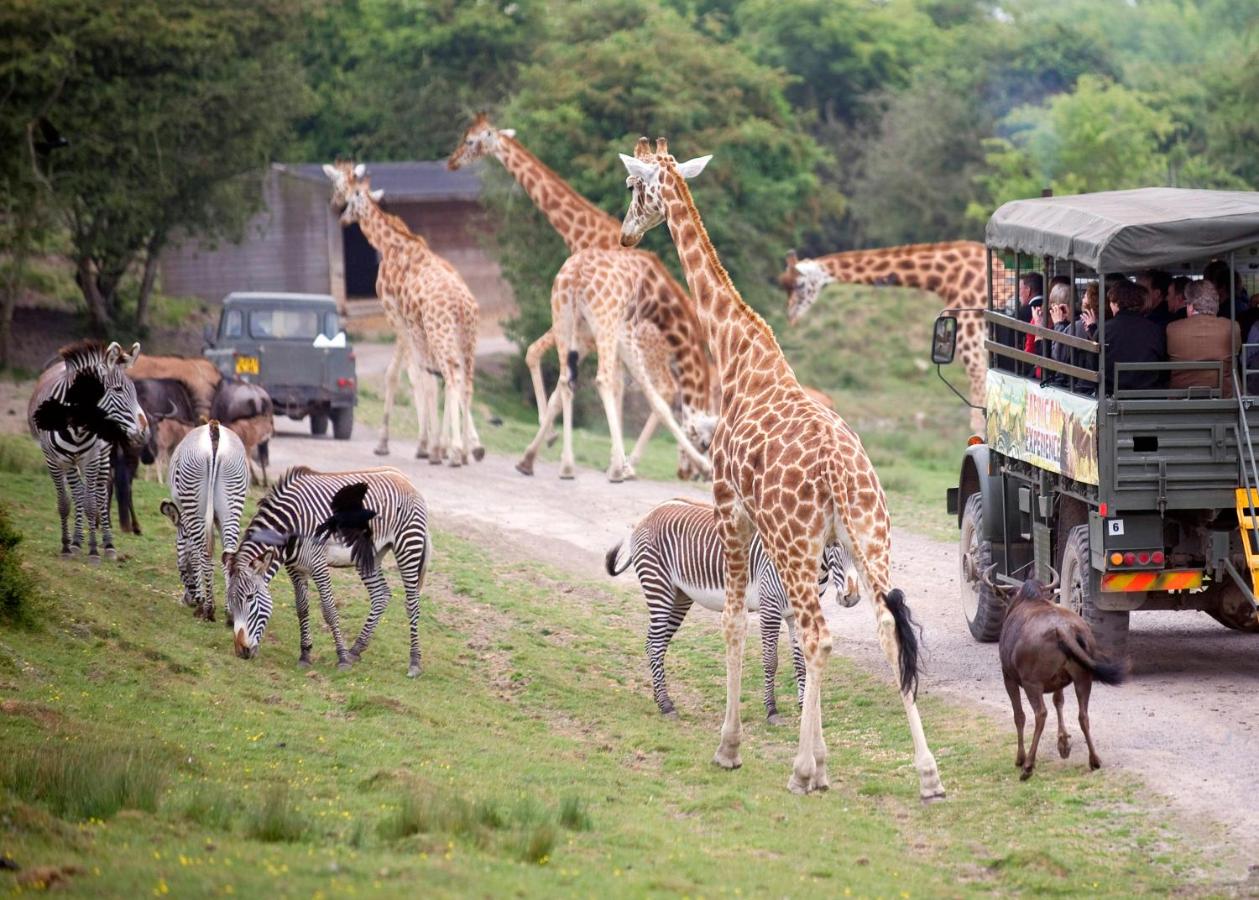 Animals Port Lympne