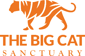 Big Cat logo