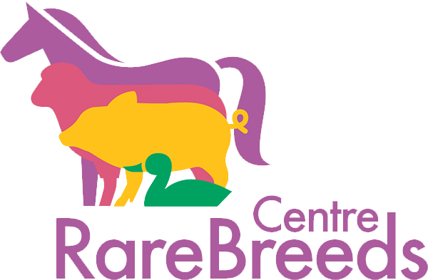 Rare Breeds Logo